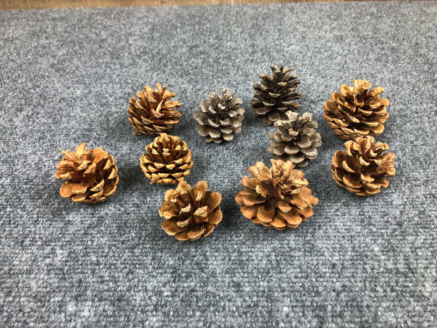 4010 Red Pinecones - 10 Pack Grab Bag