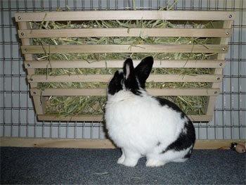 2305 Mega Hay Rack - 20 inch wide