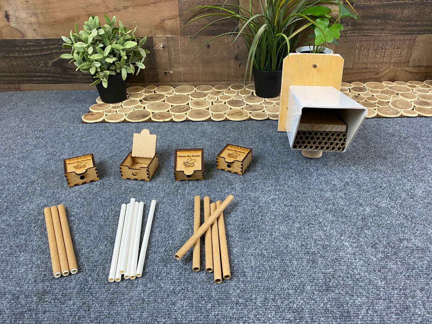 8160  Mason Bee Kit