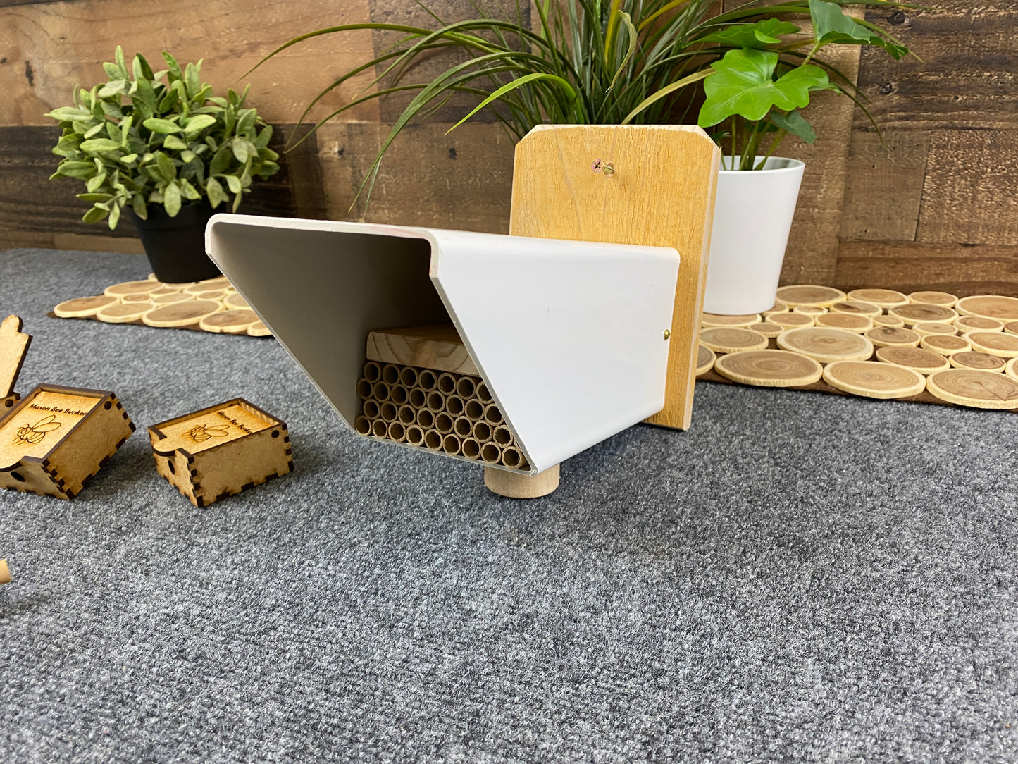 8160  Mason Bee Kit
