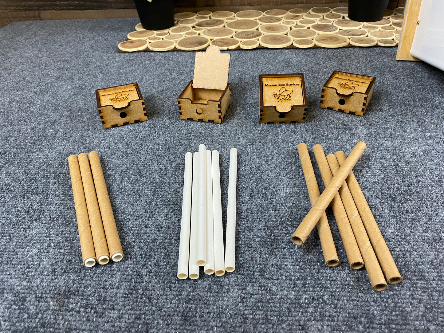 8160  Mason Bee Kit
