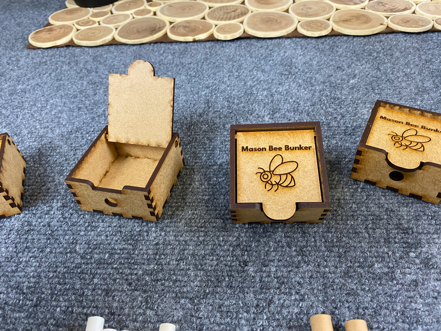 8160  Mason Bee Kit