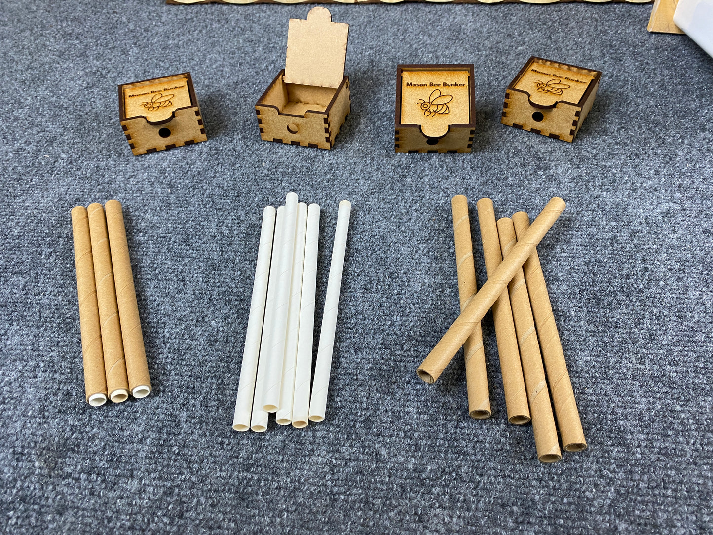 8160  Mason Bee Kit